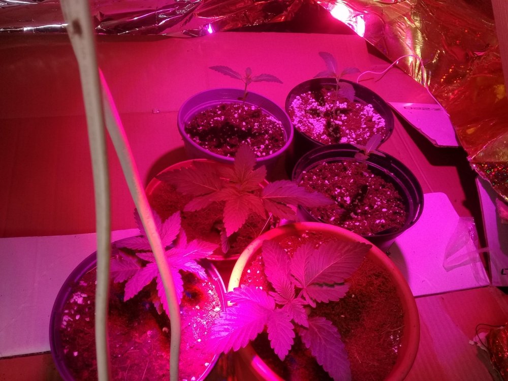20180511_165043.jpg