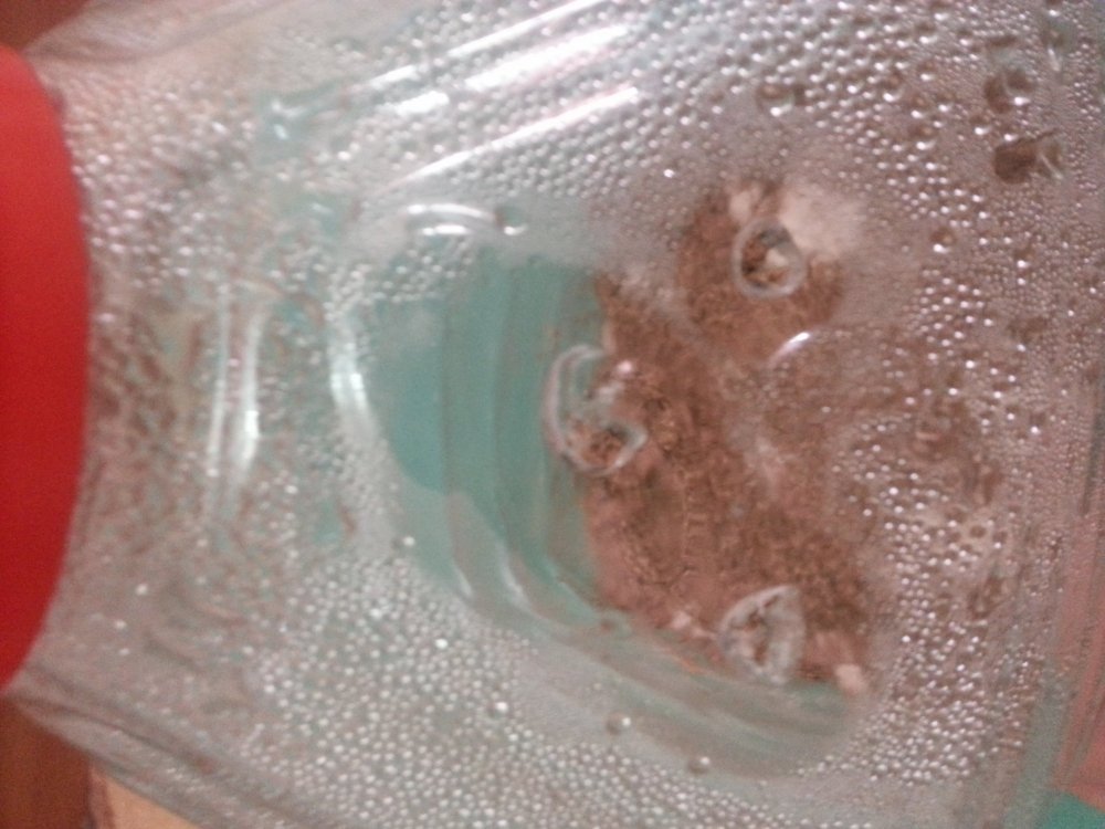 20180513_132453.jpg