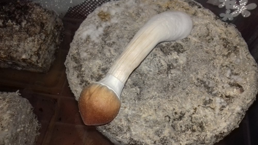 20180518_145224.jpg