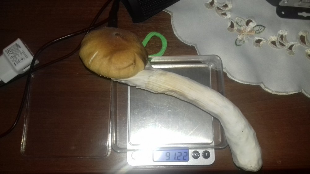 20180519_083340.jpg