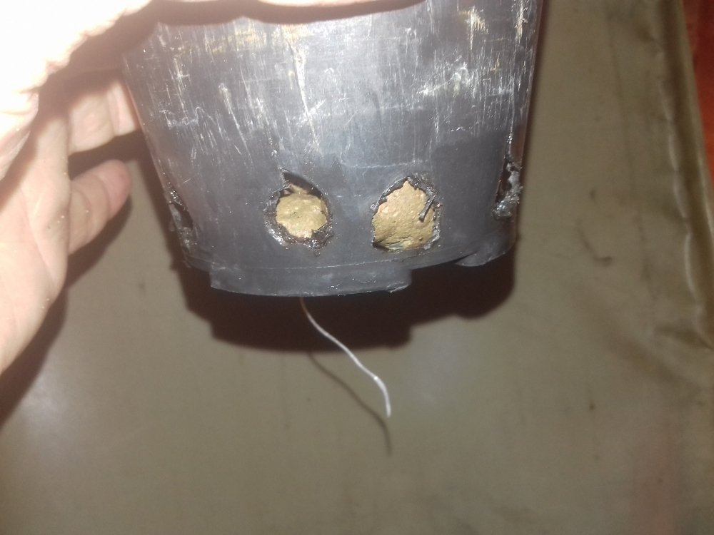 20180524_221228.thumb.jpg.f044d9fa50dea588b8aac7e56b64b78b.jpg