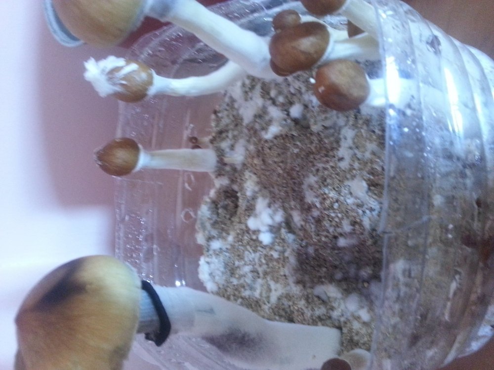 20180528_134018.jpg