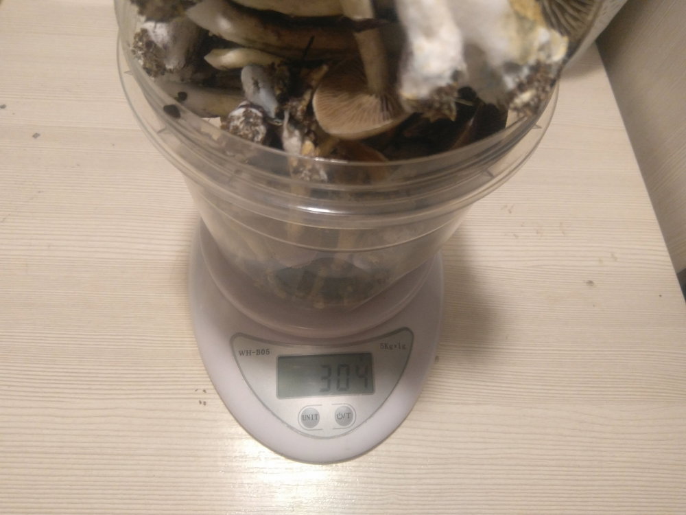 5aff7665f4042_2018-05-1822-59-16.thumb.JPG.7c702882509f52749d74bd416bc0cfda.JPG