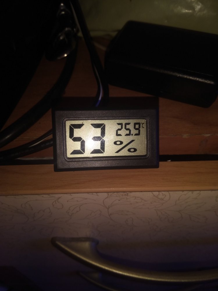IMG_20180524_172739.jpg
