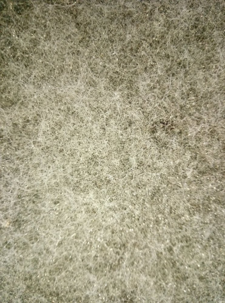 P80519-171528.thumb.jpg.d9dc8d74c1d9e861da39e61fd7e587c4.jpg