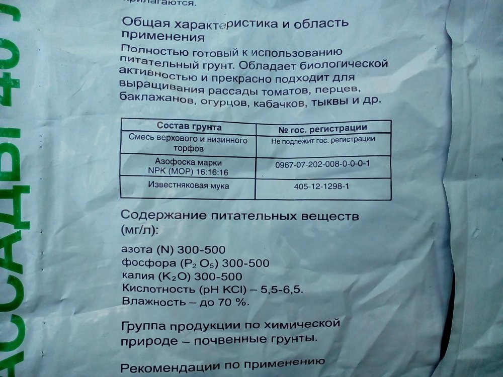 P_20180511_154310.jpg