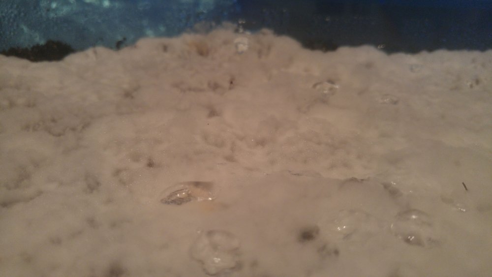 imgonline-com-ua-Compressed-yotr0JMjIc.thumb.jpg.cc6ee462cea3fe1abf10786f01dfdcdf.jpg
