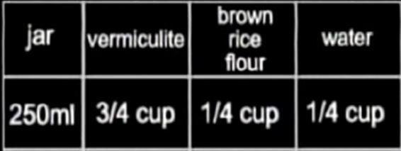 n6Sno-Ltcc8.jpg