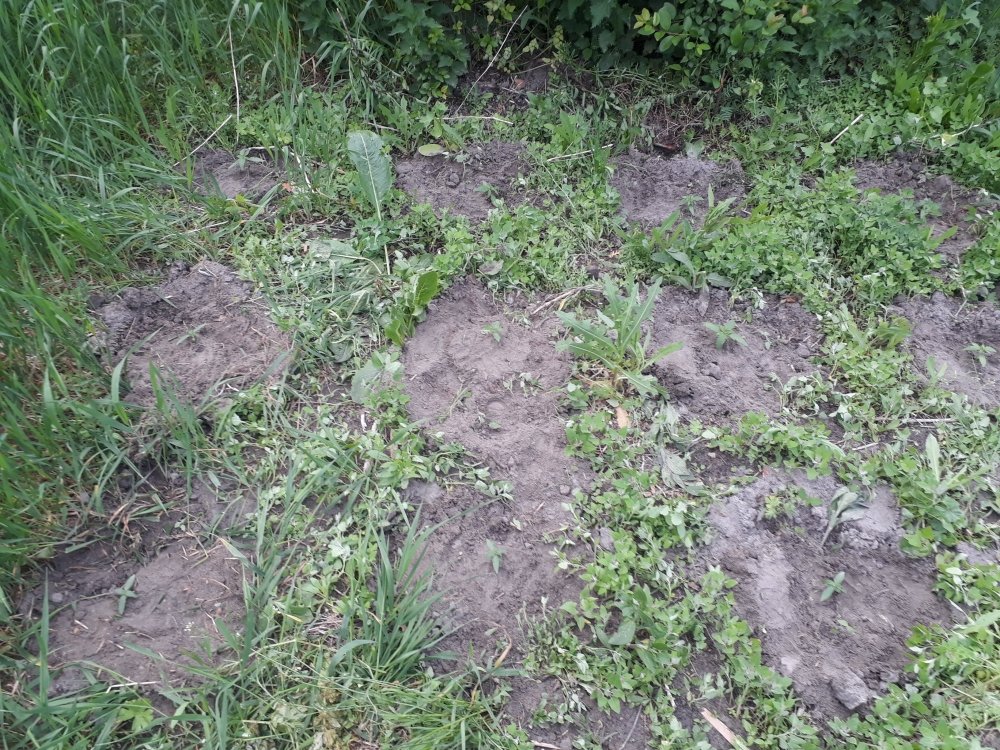 tmp_20500-20180515_1803432066571718.jpg