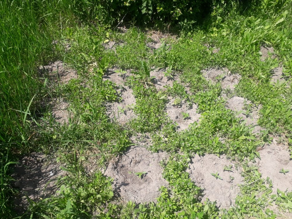 tmp_9280-20180520_122840876198153.jpg