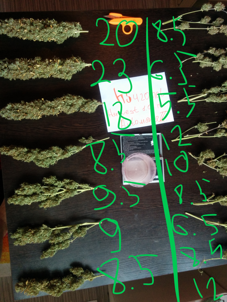 1.thumb.png.7df611b9aaf73eda0e32b68bf5a24e2a.png