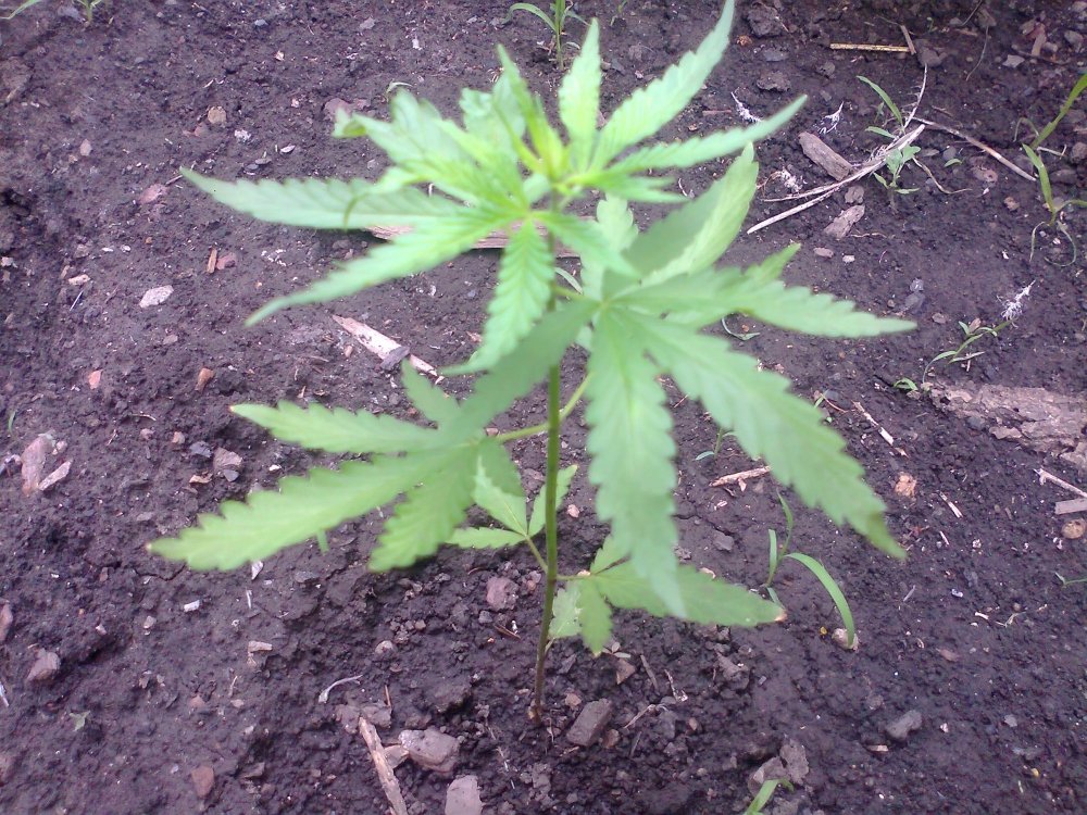 16june.jpg