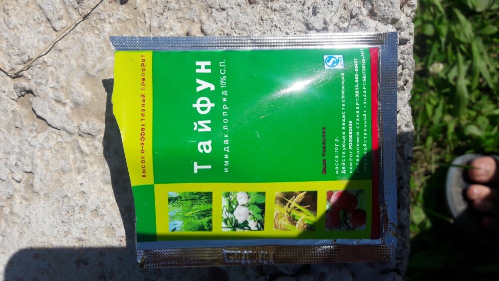 20180606_152152.jpg