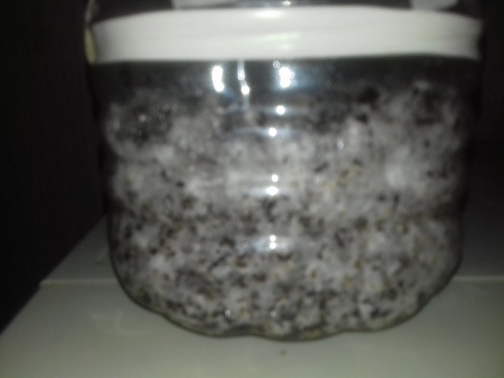 20180617_013934.thumb.jpg.871afadc8fc1c8c1a00b2900109df9b5.jpg