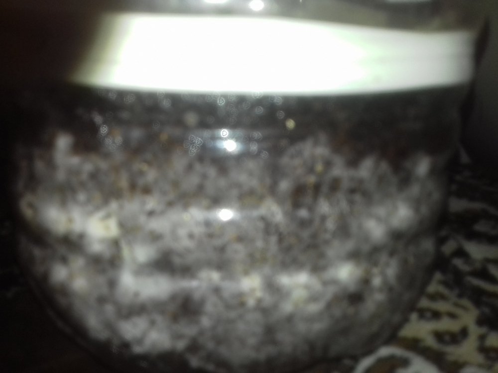 20180617_014114.thumb.jpg.a33c1219b71b7ecef8d1d92ad7c91ffc.jpg