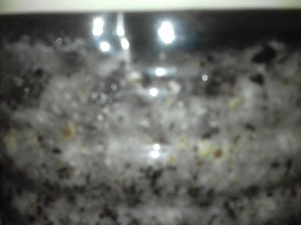 20180619_010140.thumb.jpg.e9cfed98b41ec7d403c280e2f0fbd98d.jpg