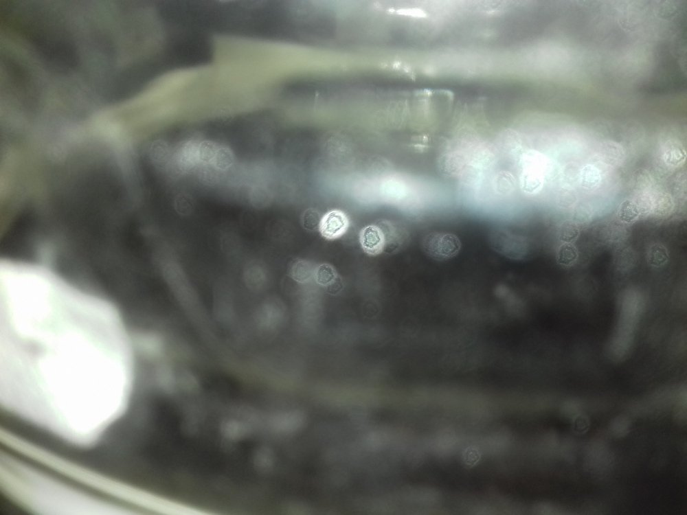 20180619_010157.jpg