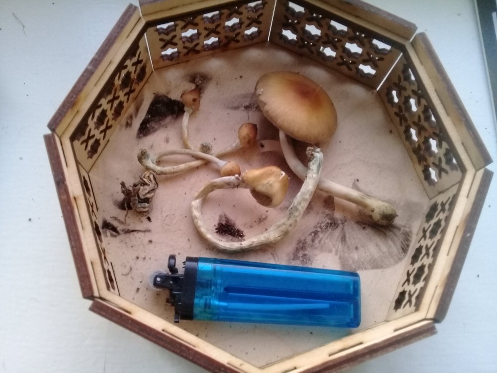 20180623_213047.jpg