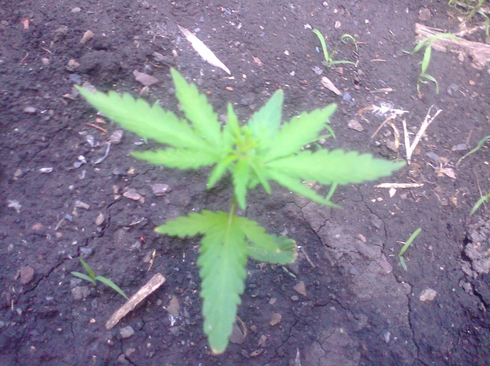 5june.jpg
