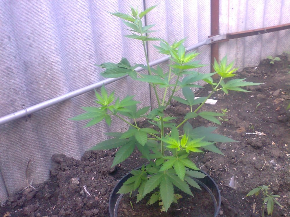 5june.jpg