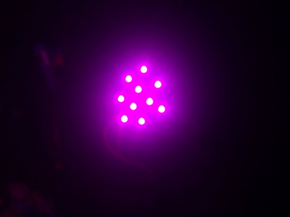AE3F75E4-54E8-44FA-9E26-D3DB8F43BA87.thumb.jpeg.ca29c62ad93aa45b106b5997e7b447d3.jpeg