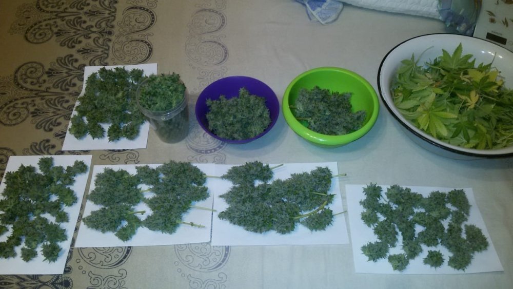 IMG-20180613-WA0026.jpg