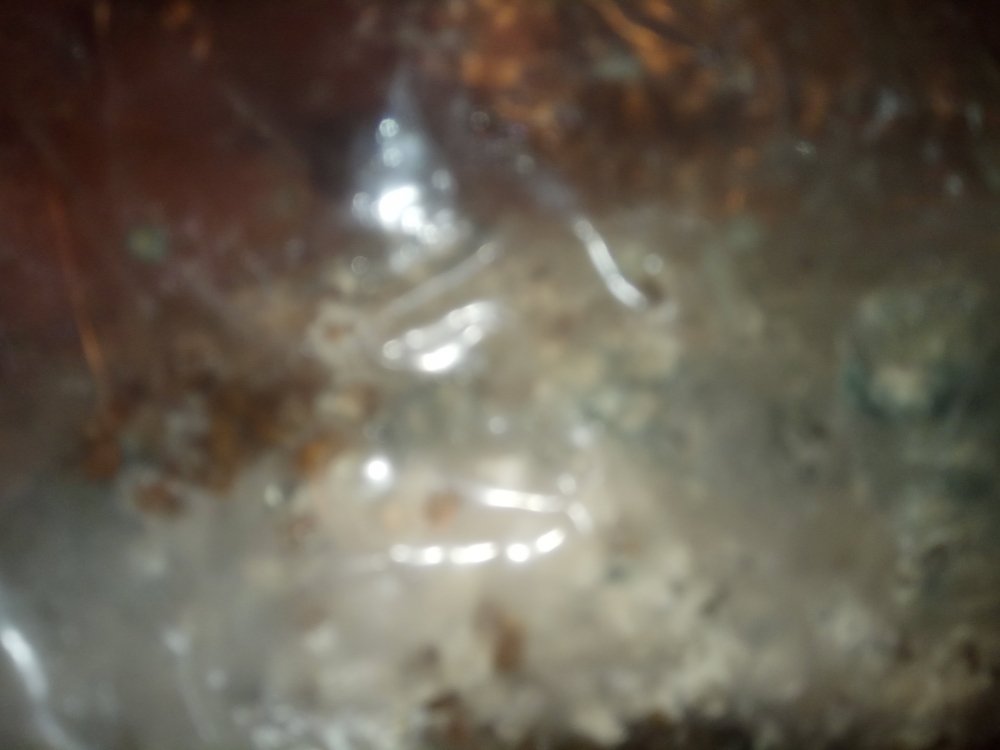 IMG_2018-06-07_201218.thumb.jpg.65867f1a67fbb68931606ea3b7bdc20a.jpg