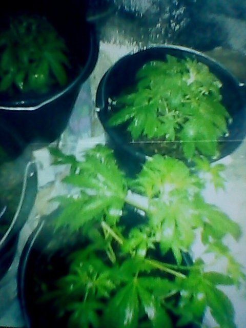 P_20180614_142726.jpg