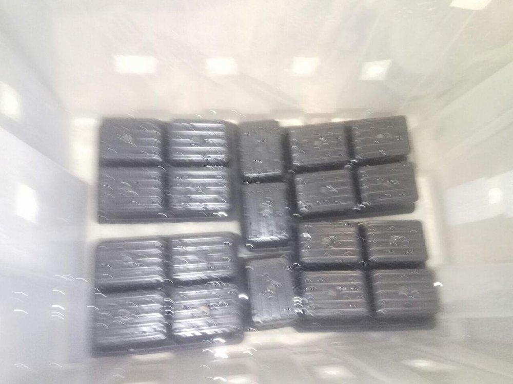 photo_2018-06-16_16-32-02.thumb.jpg.14bcc469c1aa356b8ca6de92ae43cf10.jpg