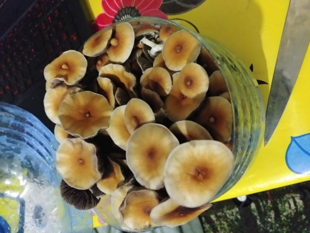 20180702_214826.jpg