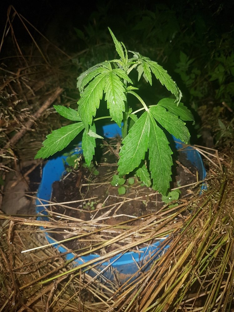 20180702_215713.jpg