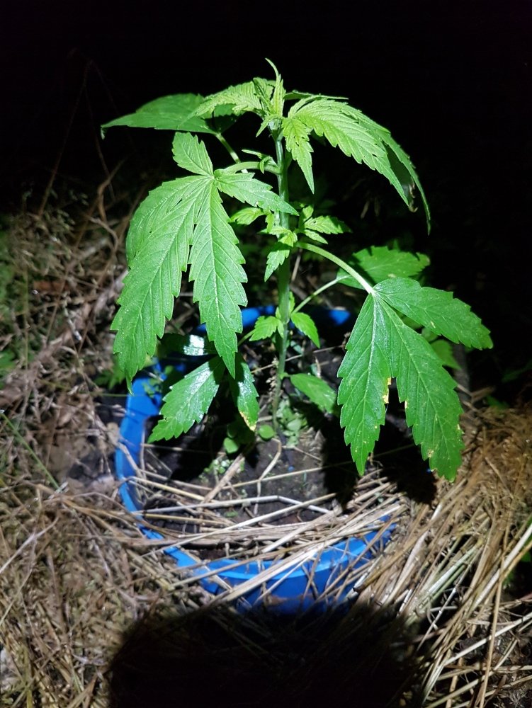 20180705_222318.jpg