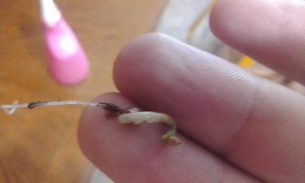 20180707_101634.jpg