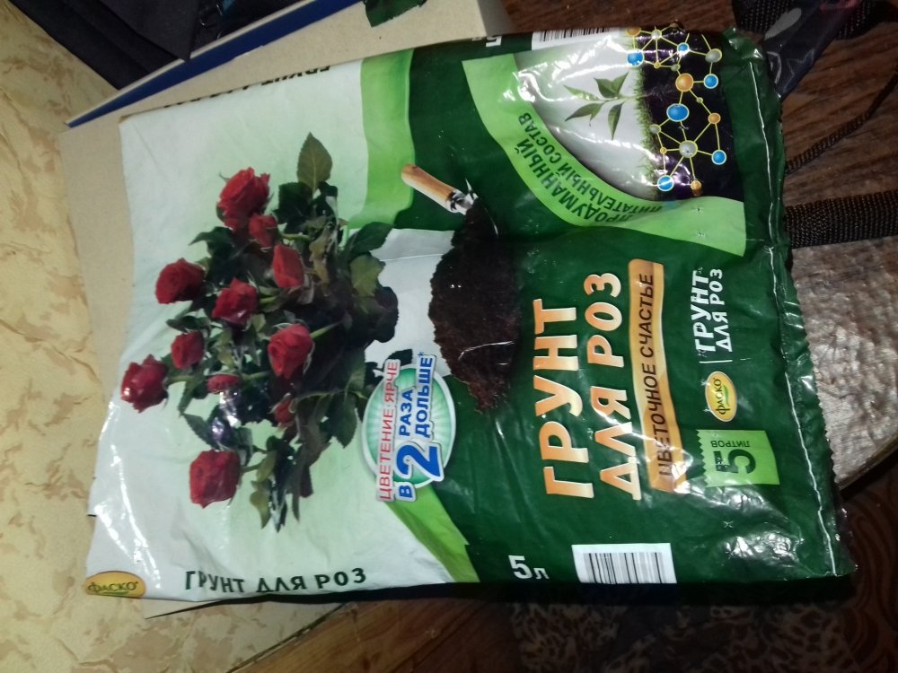 20180708_201104.jpg