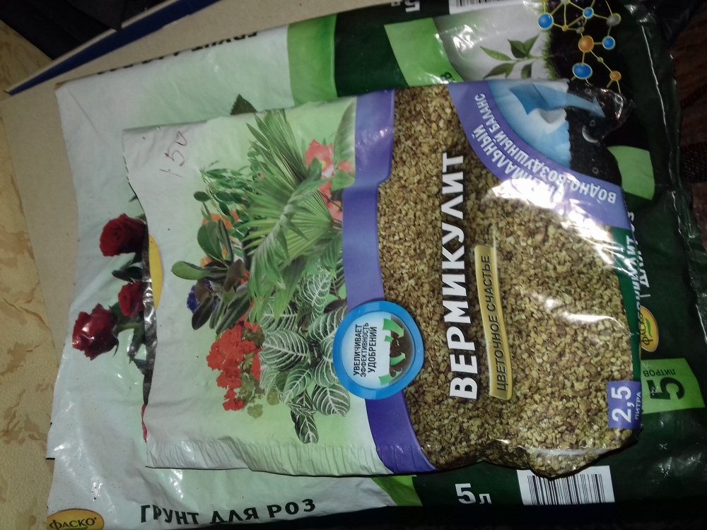 20180708_201110.jpg