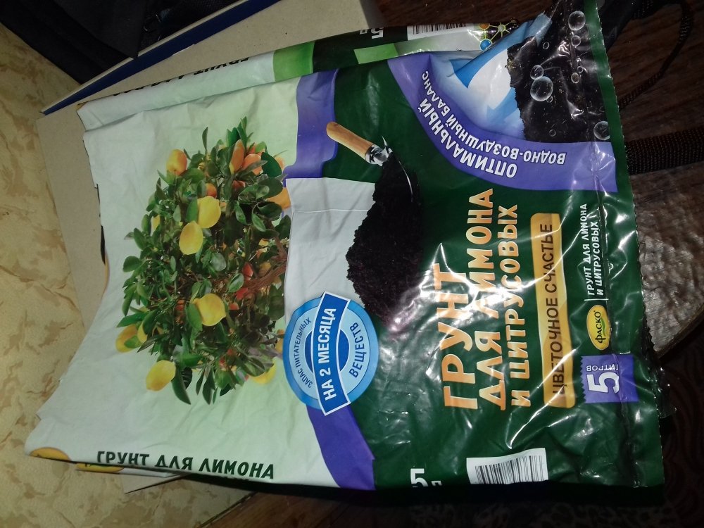 20180708_201118.jpg