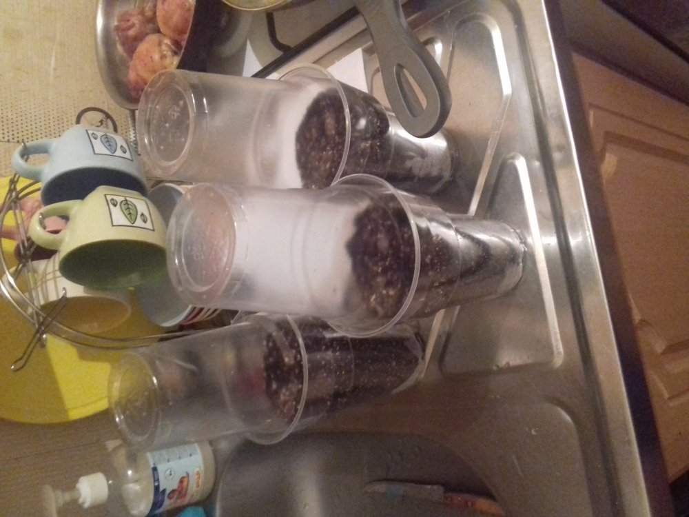 20180708_205319.jpg