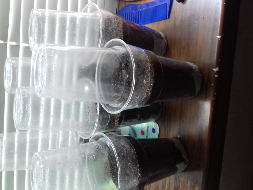 20180709_141309.jpg