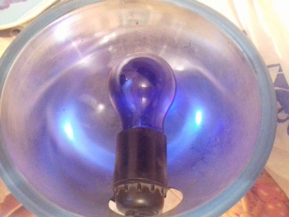 20180713_202601.jpg