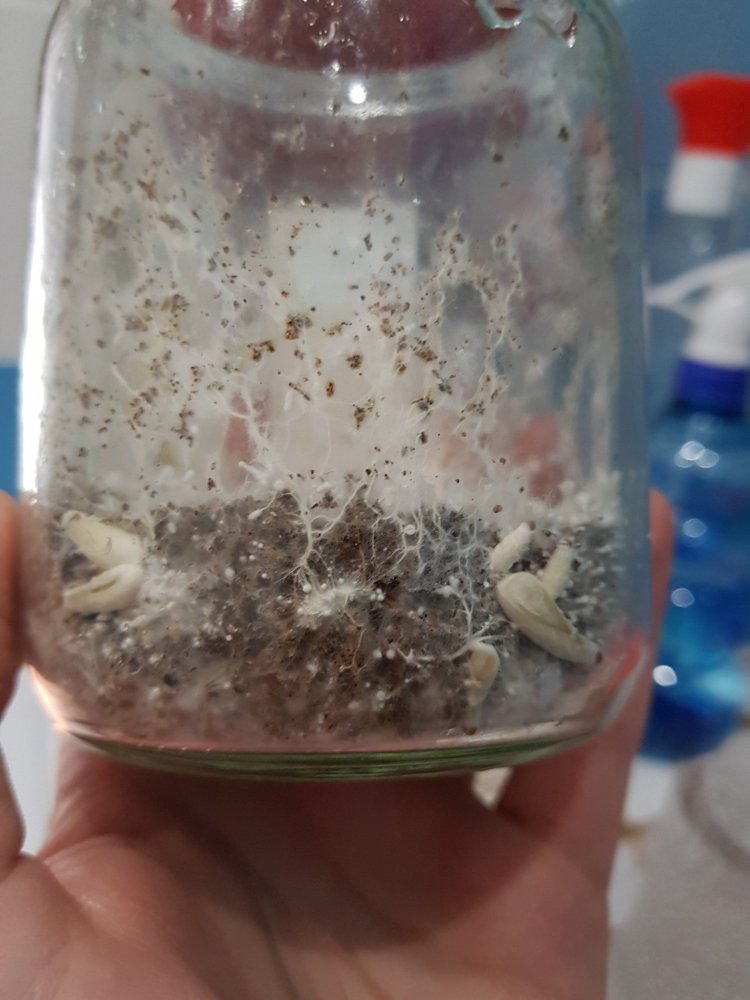 20180727_071129-2268x3024.jpg