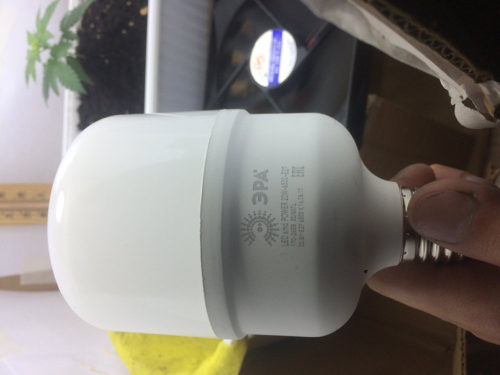 526F3CB8-F8F0-48D3-9AC9-B55D5386B194.thumb.jpeg.0f9a7a96633d37d82a9701de257a3863.jpeg