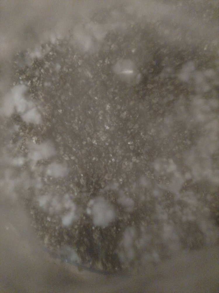IMG1.jpg