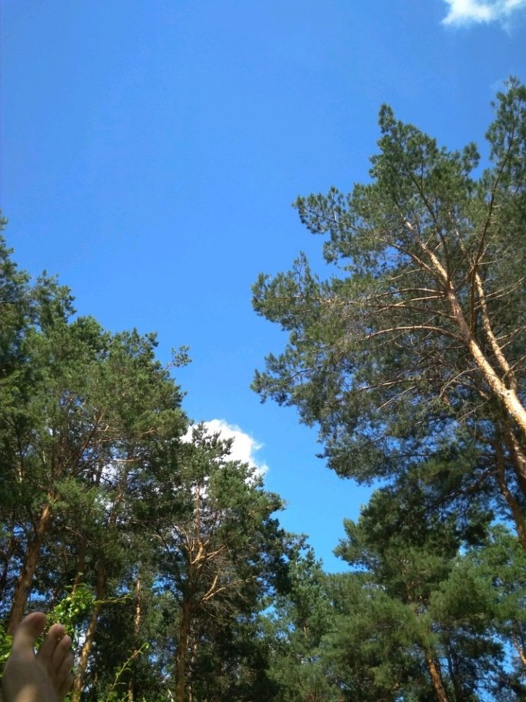 clean_IMG_20180713_144009.jpg