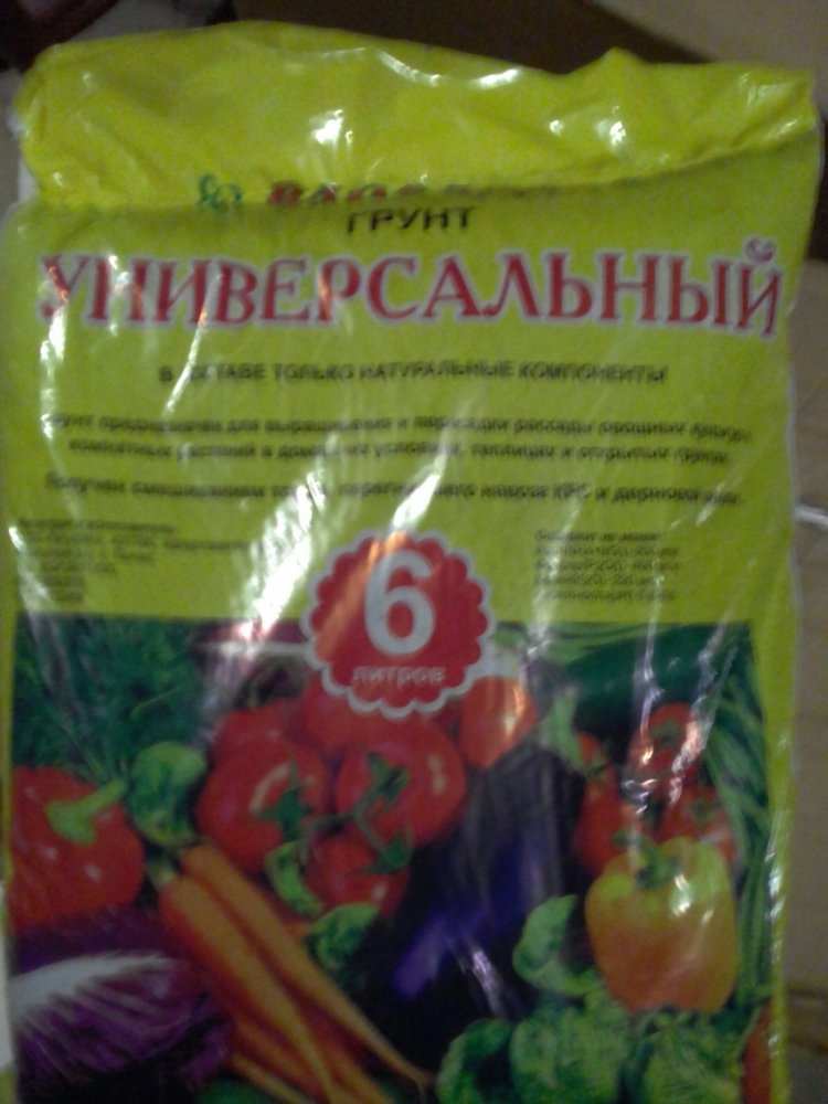 tmp-cam--883153186.thumb.jpg.674db0ab308433d0427c9d03d97119a2.jpg