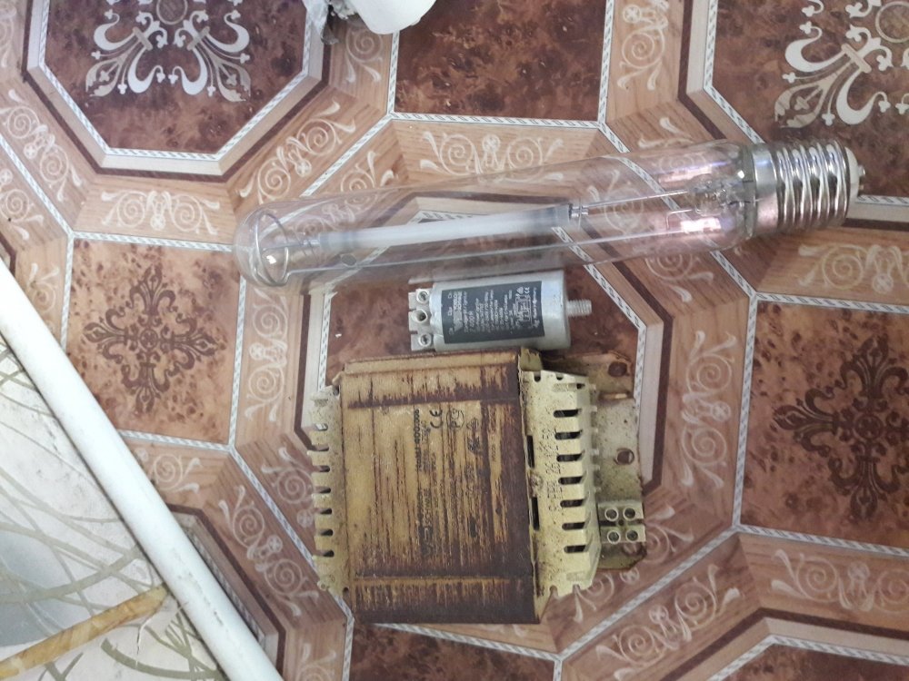 20180809_183342.jpg