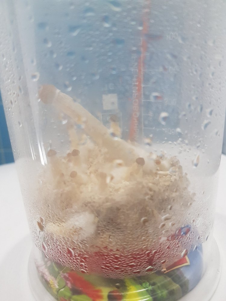 20180816_072933-2268x3024.thumb.jpg.3193a163f0df05a76775ebaccba93be4.jpg