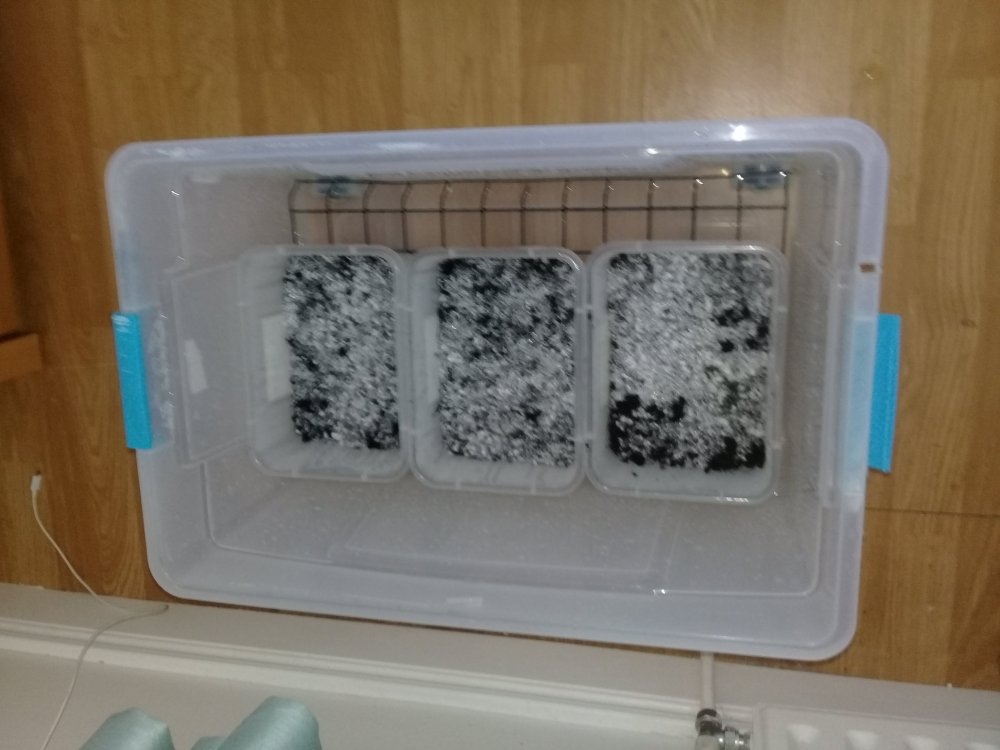 20180825_130729.jpg