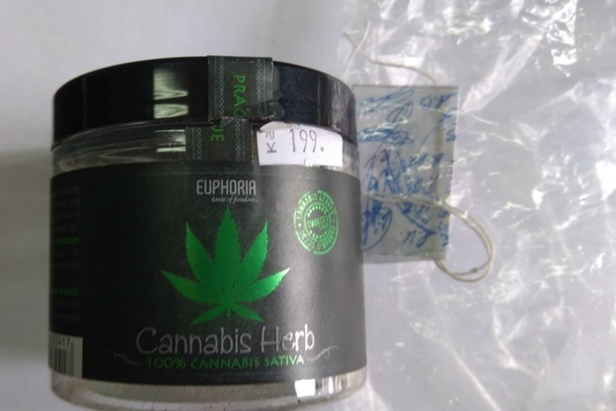 cannabis herb.jpg
