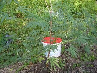 tmp-cam-889689031.jpg.392545be408cd940c038a99cea47aabc.jpg