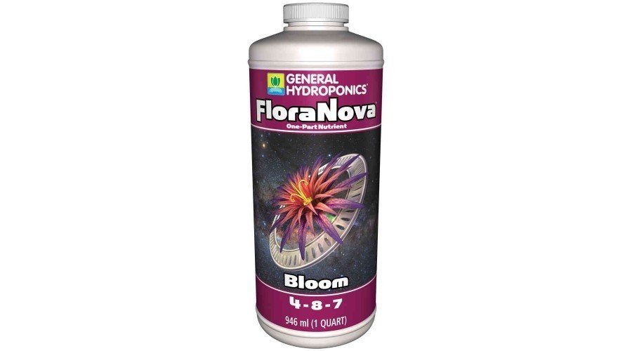 1407517451_FloraNovaBloomGH946ml-900x500.thumb.jpg.d29c943820fee65b5093bedd1feaaa78.jpg